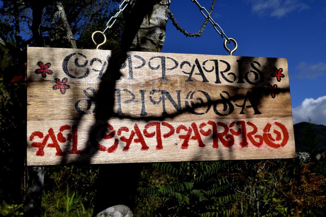 El Pedregal Sopo Panzió Kültér fotó